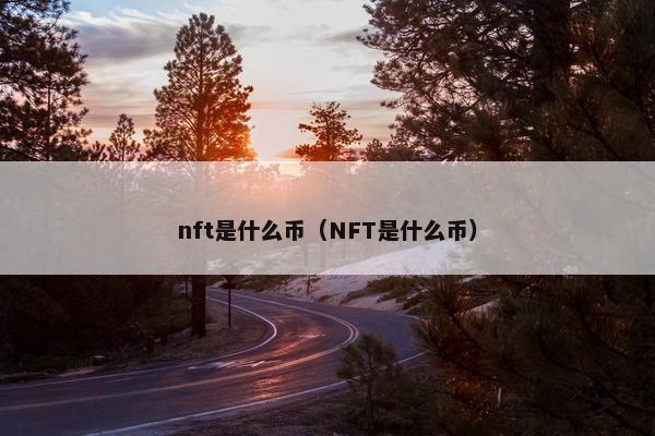 nft是什么币（NFT是什么币）