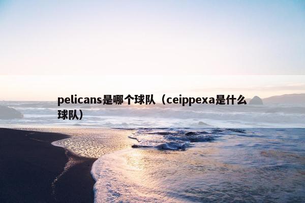 pelicans是哪个球队（ceippexa是什么球队）