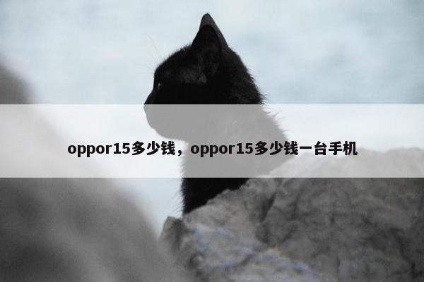 oppor15多少钱，oppor15多少钱一台手机