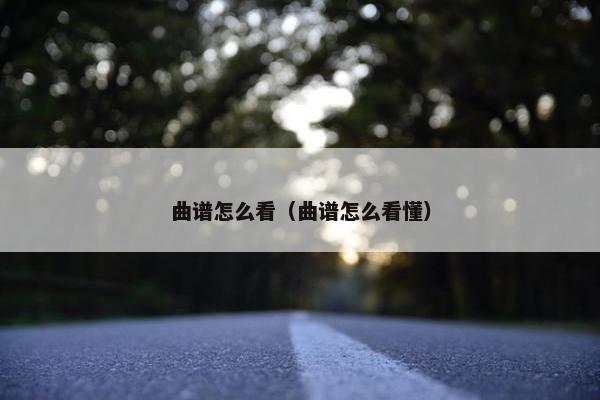 曲谱怎么看（曲谱怎么看懂）