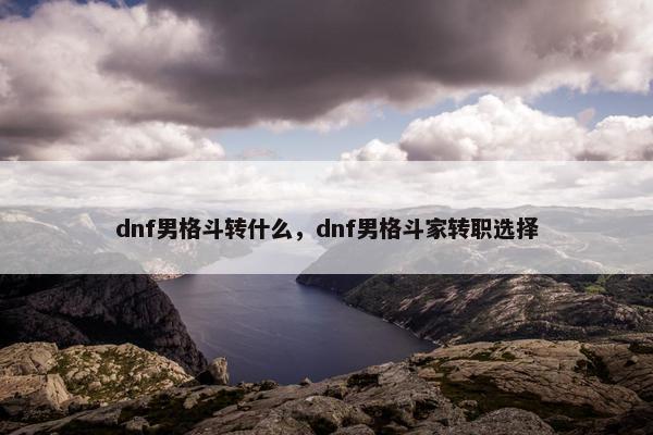 dnf男格斗转什么，dnf男格斗家转职选择