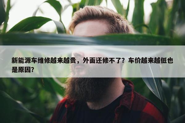 新能源车维修越来越贵，外面还修不了？车价越来越低也是原因？