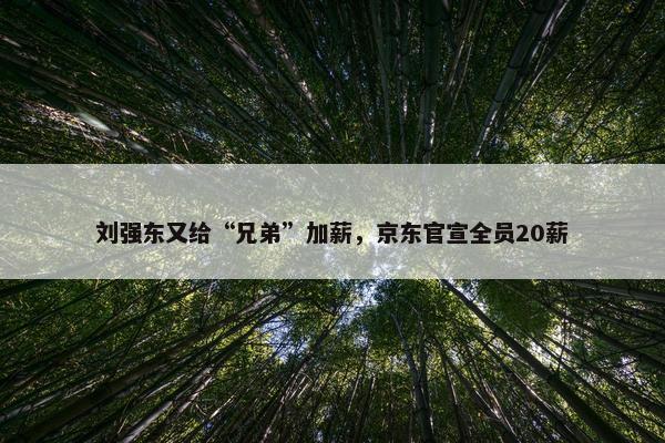 刘强东又给“兄弟”加薪，京东官宣全员20薪