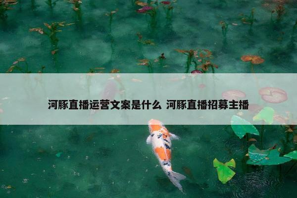 河豚直播运营文案是什么 河豚直播招募主播