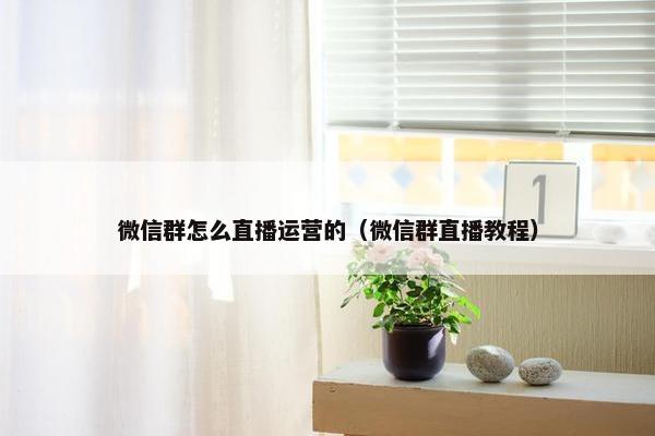 微信群怎么直播运营的（微信群直播教程）