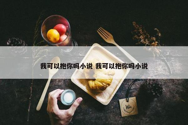 我可以抱你吗小说 我可以抱你吗小说