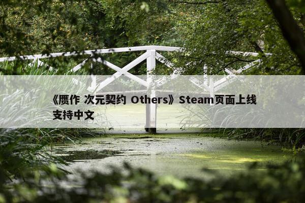 《赝作 次元契约 Others》Steam页面上线 支持中文