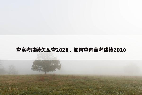 查高考成绩怎么查2020，如何查询高考成绩2020