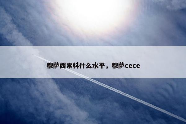 穆萨西索科什么水平，穆萨cece