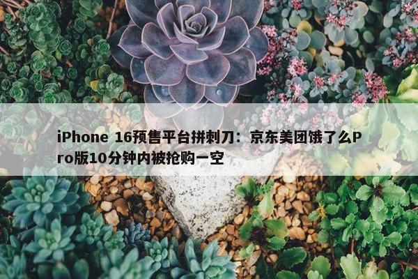 iPhone 16预售平台拼刺刀：京东美团饿了么Pro版10分钟内被抢购一空