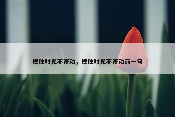 挽住时光不许动，挽住时光不许动前一句