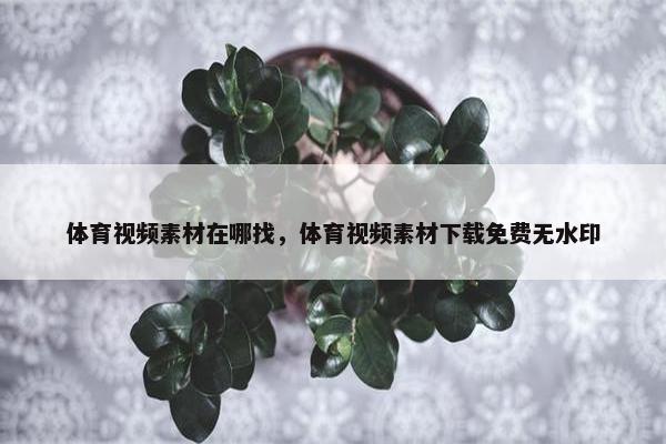 体育视频素材在哪找，体育视频素材下载免费无水印