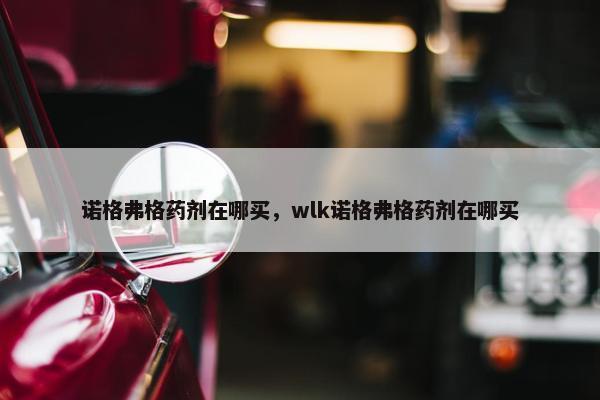 诺格弗格药剂在哪买，wlk诺格弗格药剂在哪买