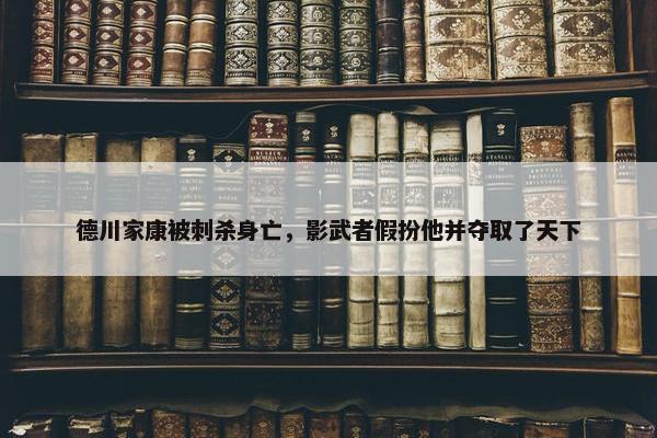 德川家康被刺杀身亡，影武者假扮他并夺取了天下