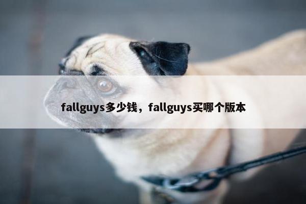 fallguys多少钱，fallguys买哪个版本