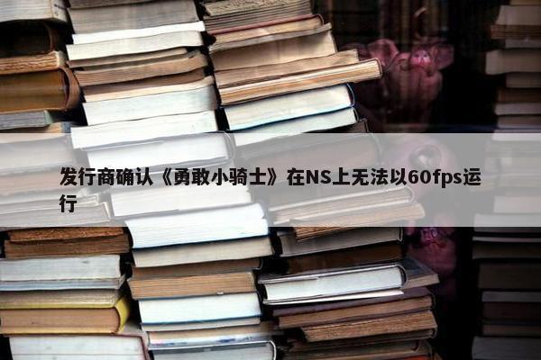 发行商确认《勇敢小骑士》在NS上无法以60fps运行