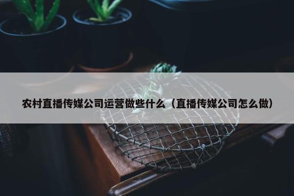 农村直播传媒公司运营做些什么（直播传媒公司怎么做）