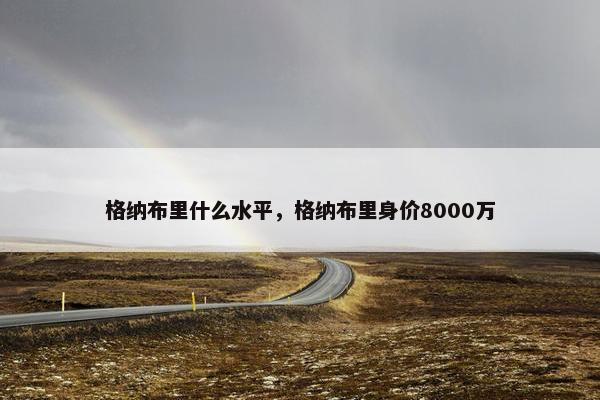 格纳布里什么水平，格纳布里身价8000万