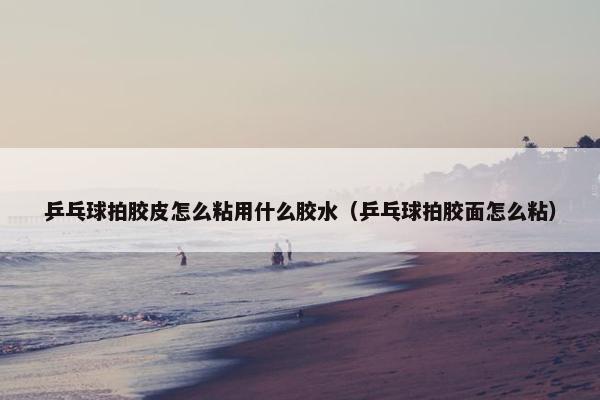 乒乓球拍胶皮怎么粘用什么胶水（乒乓球拍胶面怎么粘）