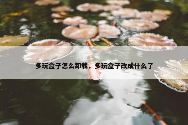 多玩盒子怎么卸载，多玩盒子改成什么了