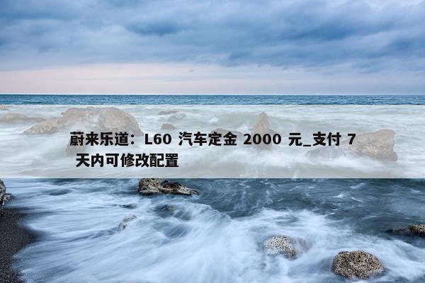 蔚来乐道：L60 汽车定金 2000 元_支付 7 天内可修改配置