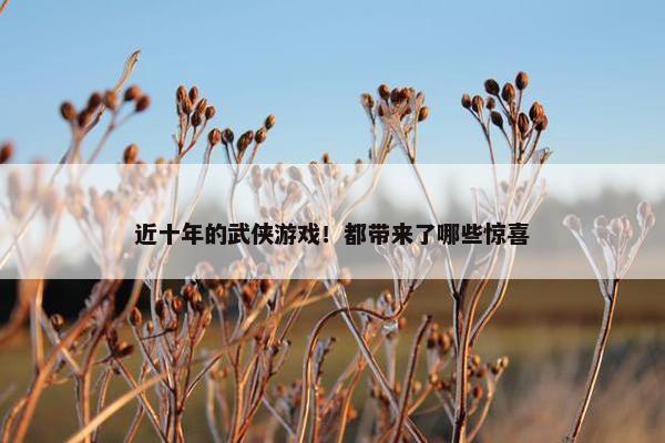 近十年的武侠游戏！都带来了哪些惊喜