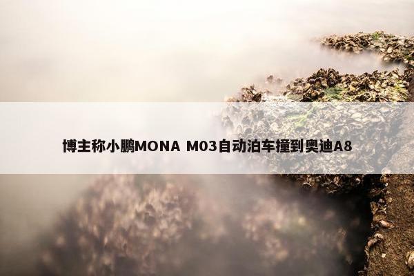 博主称小鹏MONA M03自动泊车撞到奥迪A8