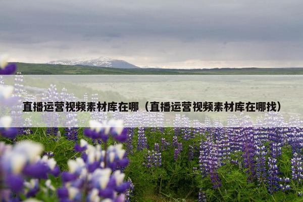 直播运营视频素材库在哪（直播运营视频素材库在哪找）