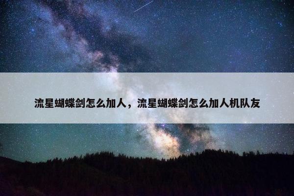 流星蝴蝶剑怎么加人，流星蝴蝶剑怎么加人机队友