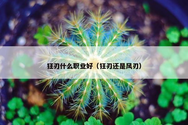 狂刃什么职业好（狂刃还是风刃）