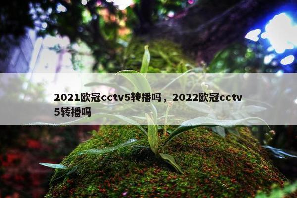 2021欧冠cctv5转播吗，2022欧冠cctv5转播吗