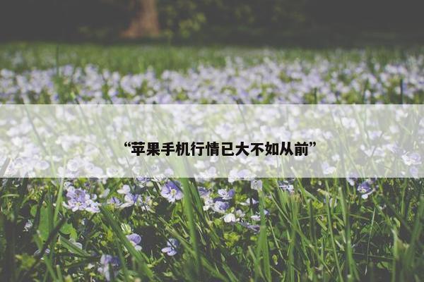 “苹果手机行情已大不如从前”