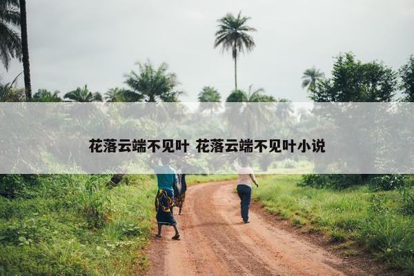 花落云端不见叶 花落云端不见叶小说