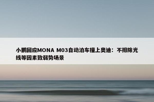 小鹏回应MONA M03自动泊车撞上奥迪：不排除光线等因素致弱势场景