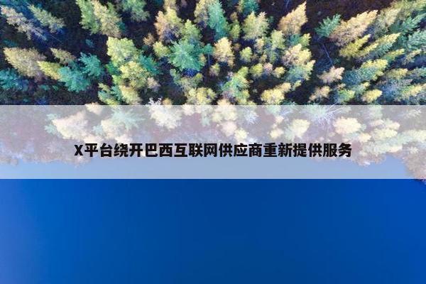 X平台绕开巴西互联网供应商重新提供服务