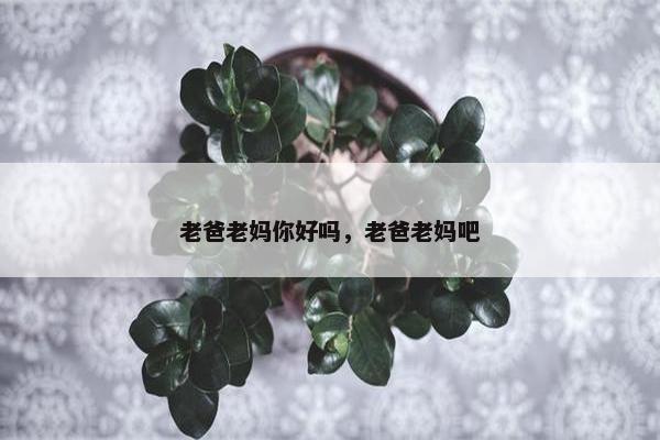 老爸老妈你好吗，老爸老妈吧