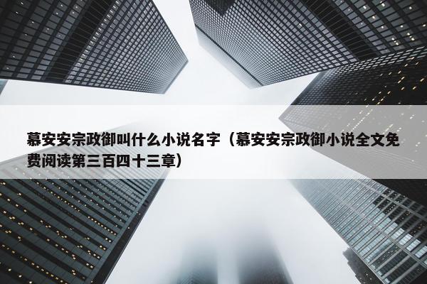 慕安安宗政御叫什么小说名字（慕安安宗政御小说全文免费阅读第三百四十三章）