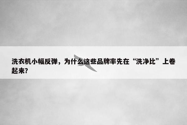 洗衣机小幅反弹，为什么这些品牌率先在“洗净比”上卷起来？