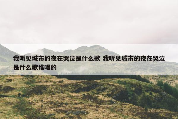 我听见城市的夜在哭泣是什么歌 我听见城市的夜在哭泣是什么歌谁唱的