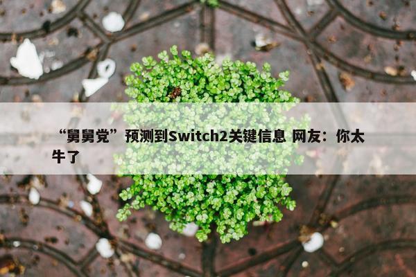 “舅舅党”预测到Switch2关键信息 网友：你太牛了