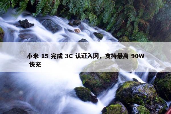 小米 15 完成 3C 认证入网，支持最高 90W 快充