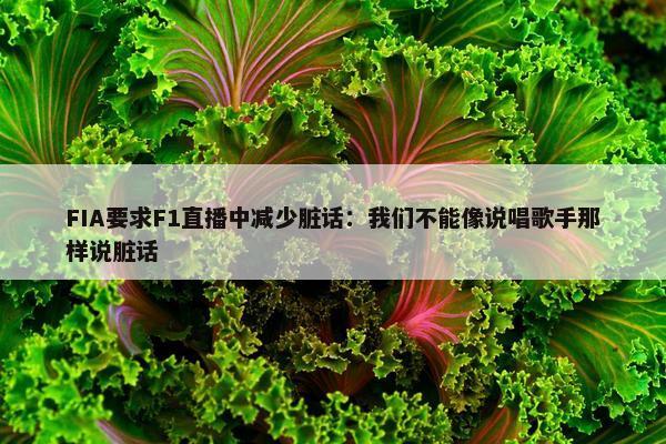 FIA要求F1直播中减少脏话：我们不能像说唱歌手那样说脏话