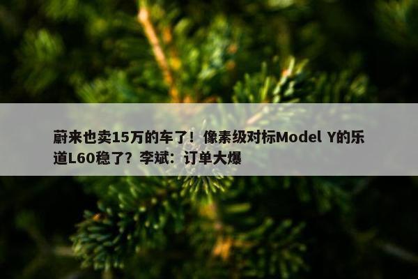 蔚来也卖15万的车了！像素级对标Model Y的乐道L60稳了？李斌：订单大爆