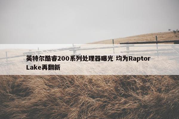 英特尔酷睿200系列处理器曝光 均为Raptor Lake再翻新