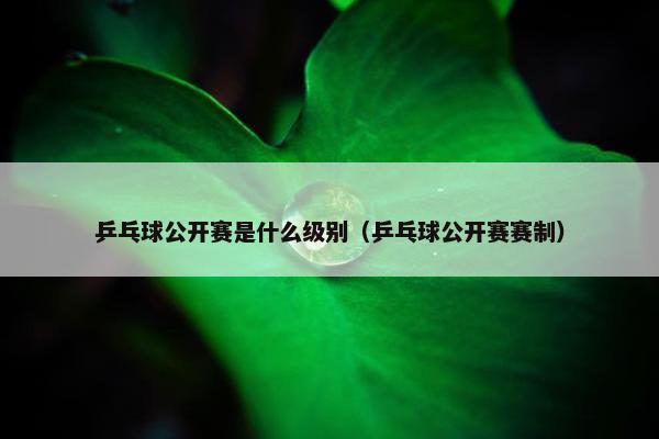 乒乓球公开赛是什么级别（乒乓球公开赛赛制）