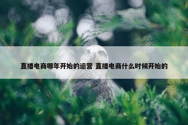 直播电商哪年开始的运营 直播电商什么时候开始的