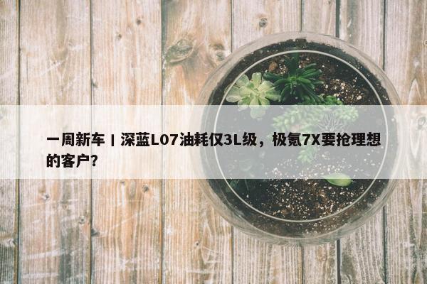 一周新车丨深蓝L07油耗仅3L级，极氪7X要抢理想的客户？