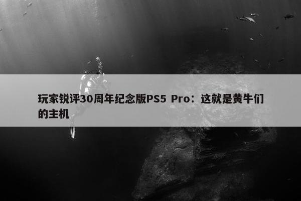 玩家锐评30周年纪念版PS5 Pro：这就是黄牛们的主机