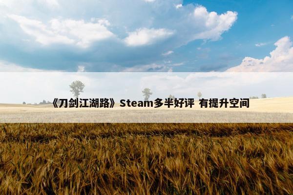 《刀剑江湖路》Steam多半好评 有提升空间