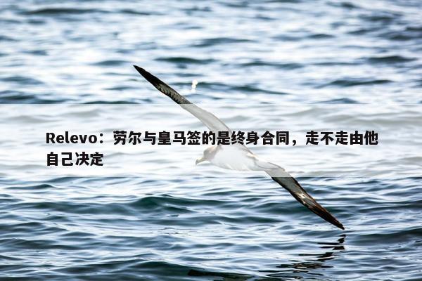 Relevo：劳尔与皇马签的是终身合同，走不走由他自己决定